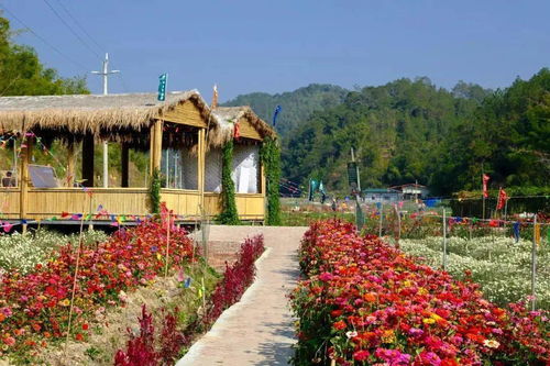 省級(jí)示范,高要這2個(gè)地方上榜