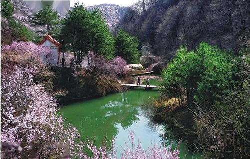 人文美景,冬景雪花,十條冬春精品旅游線路帶您暢游平涼