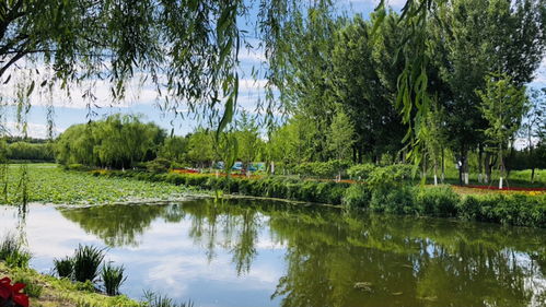 北京 千年古運河 今朝生態(tài)園