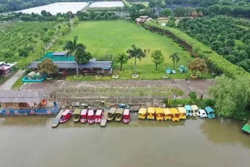 恐龍出沒 萌寵來襲 五一假期,這個生態(tài)園區(qū)帶你回歸童年