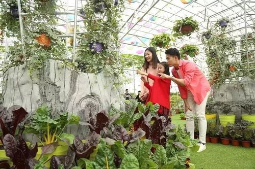 佛山首座5d炸裂玻璃橋,199元2大2小走起 高空飛索山頂直落 機(jī)動樂園 山泉水泳場任玩