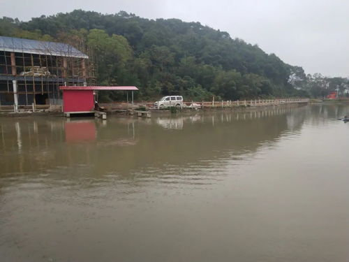 走進(jìn)央視拍攝全州十大碗之 龍水禾花魚 的聚龍生態(tài)園,感覺挺好
