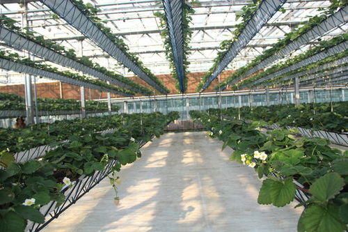 食材長(zhǎng)粒米,五谷雜糧,食品餐飲,攝影素材,匯圖網(wǎng)