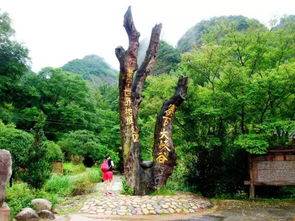 16周歲以下免票游世遺，668元泰寧雙動車2日游 大金湖、寨下大峽谷、九龍潭、尚書第全覽