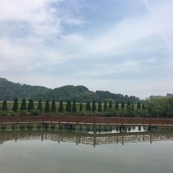 龍荷農(nóng)業(yè)生態(tài)園與九龍?zhí)渡鷳B(tài)園游覽指南 聯(lián)系方式、地址與營業(yè)時(shí)間