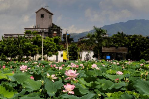 快看！博羅九龍?zhí)渡鷳B(tài)園入選惠州市第二批鄉(xiāng)村旅游精品線路